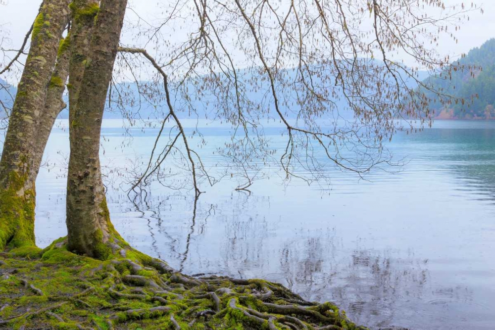 Similar wall art painting: 64202