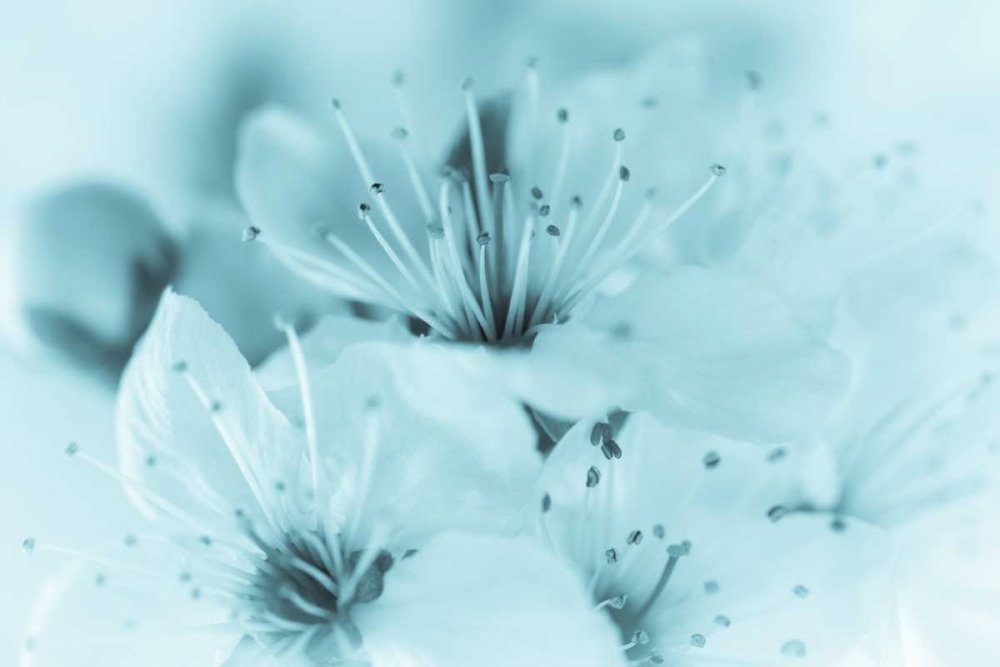 Similar wall art painting: 146084