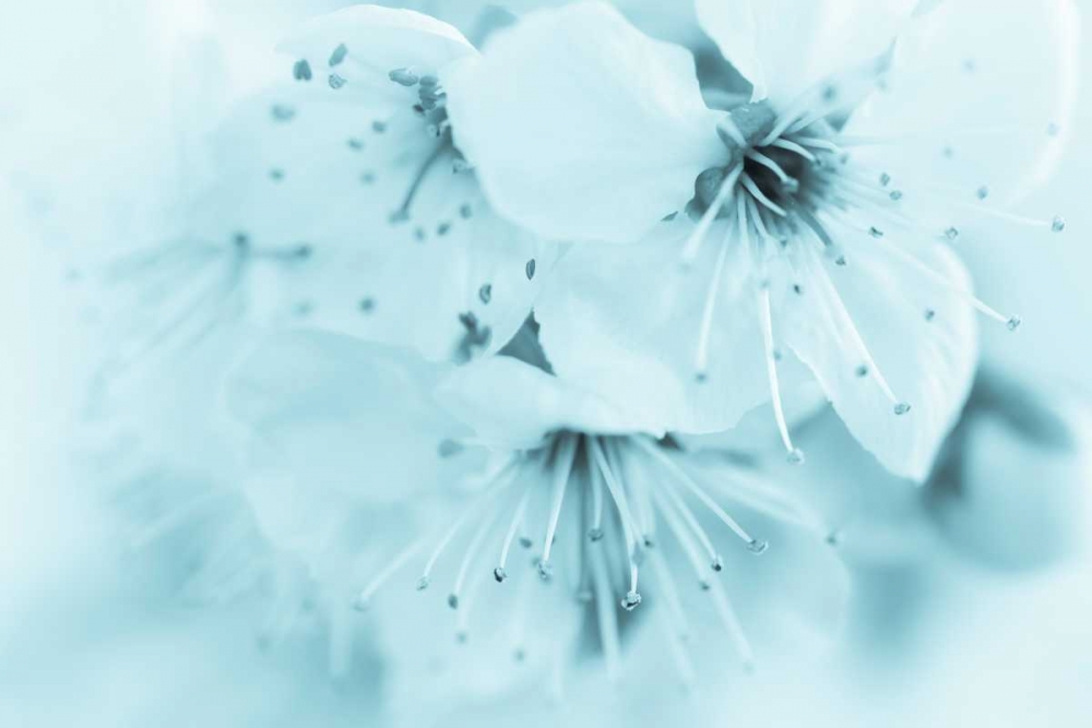 Similar wall art painting: 146085