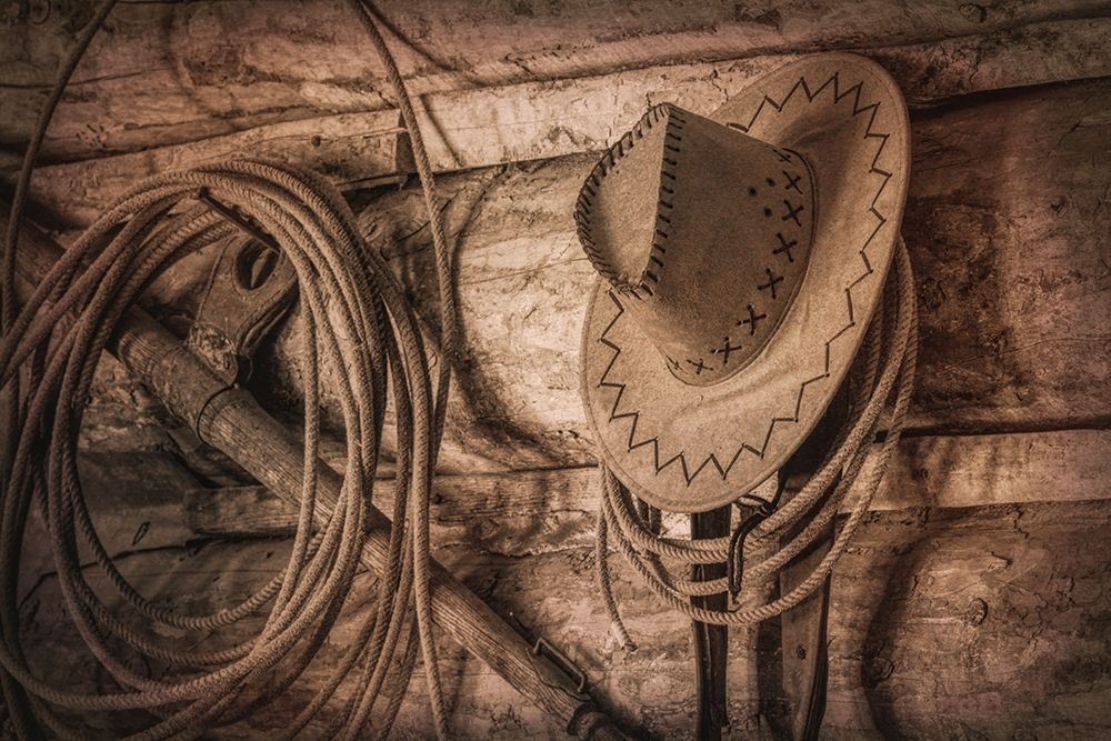 Wall Art Painting id:219486, Name: Cowboy Hat and Rope, Artist: Mahan, Kathy