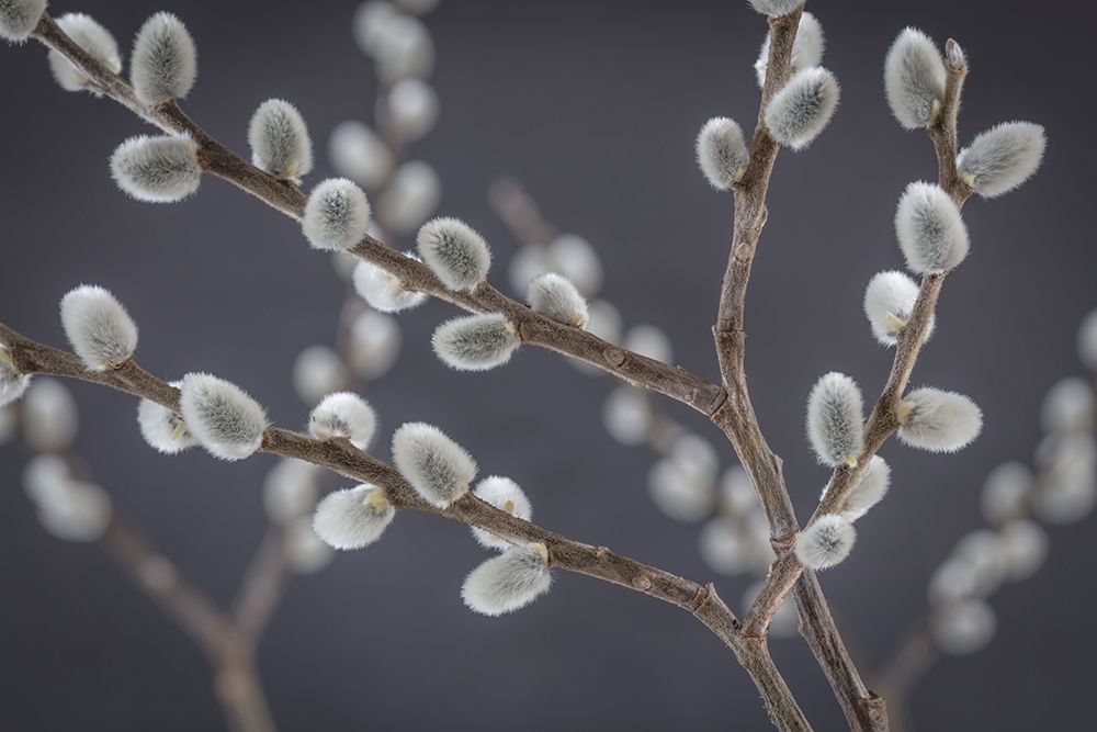 Similar wall art painting: 219526