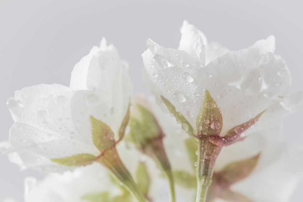 Similar wall art painting: 219541