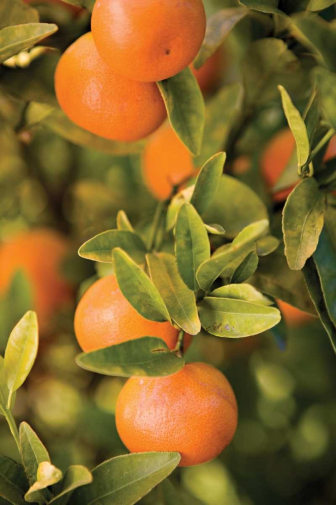 Similar wall art painting: 2417