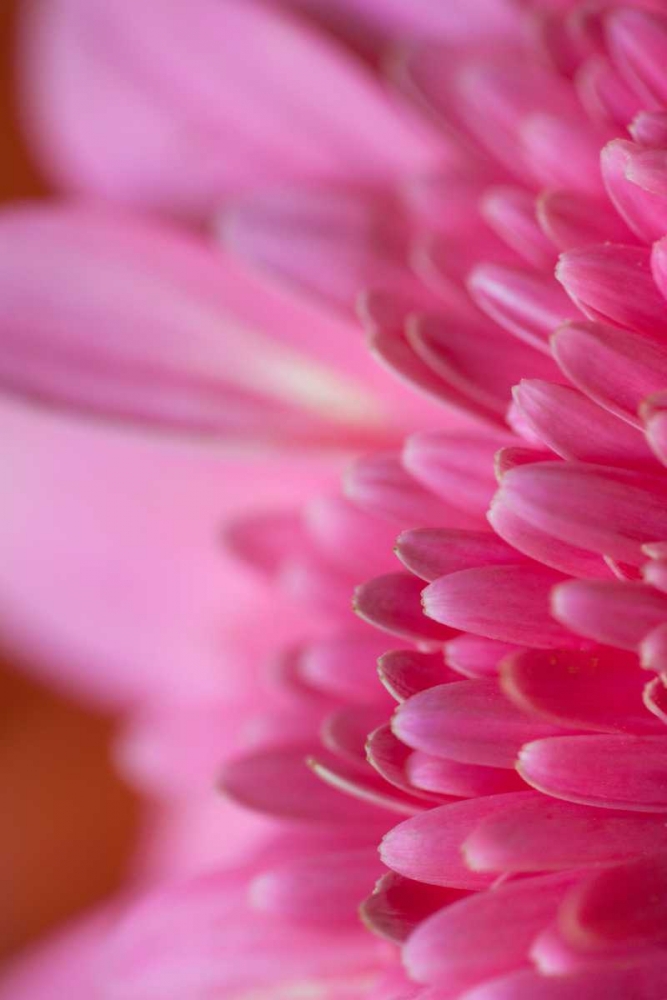 Similar wall art painting: 2432