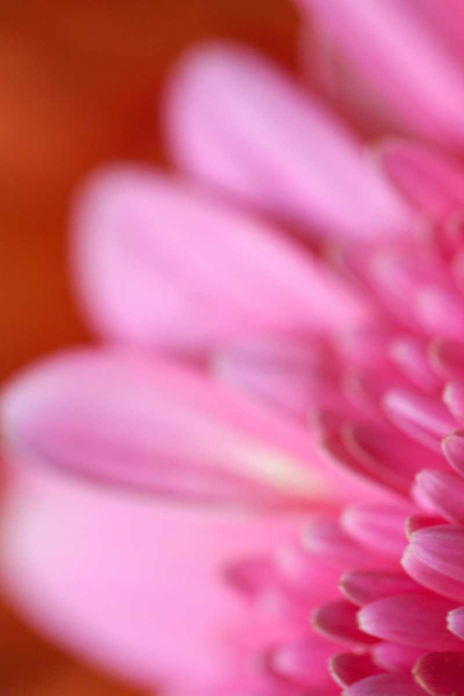 Similar wall art painting: 2433