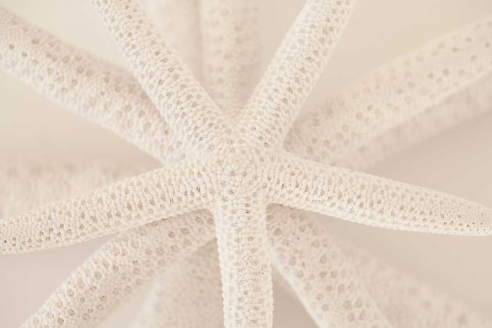 Similar wall art painting: 9681