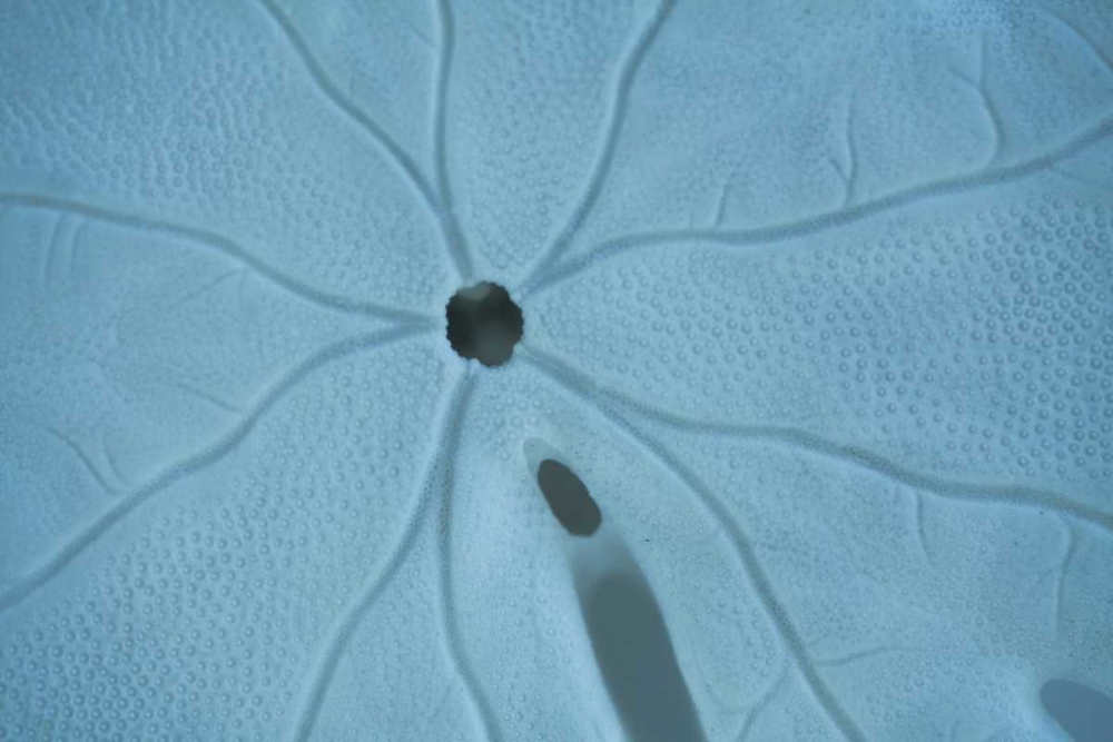 Similar wall art painting: 9696