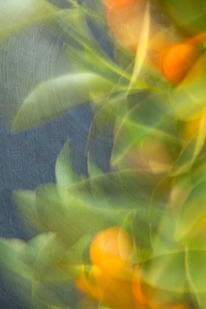 Similar wall art painting: 9717