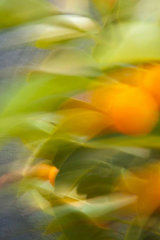 Similar wall art painting: 9718