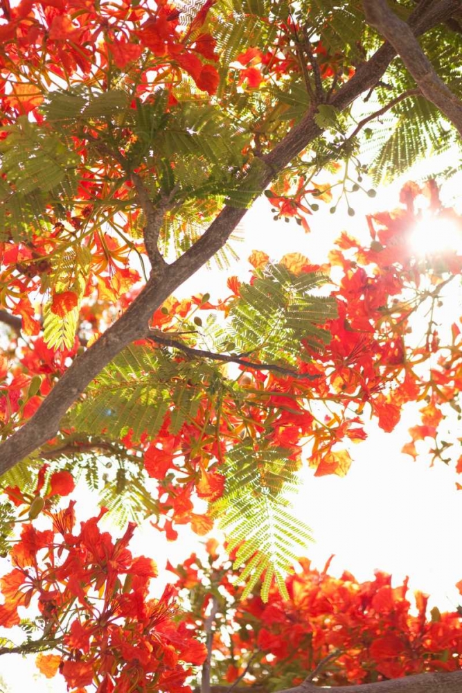 Similar wall art painting: 9724