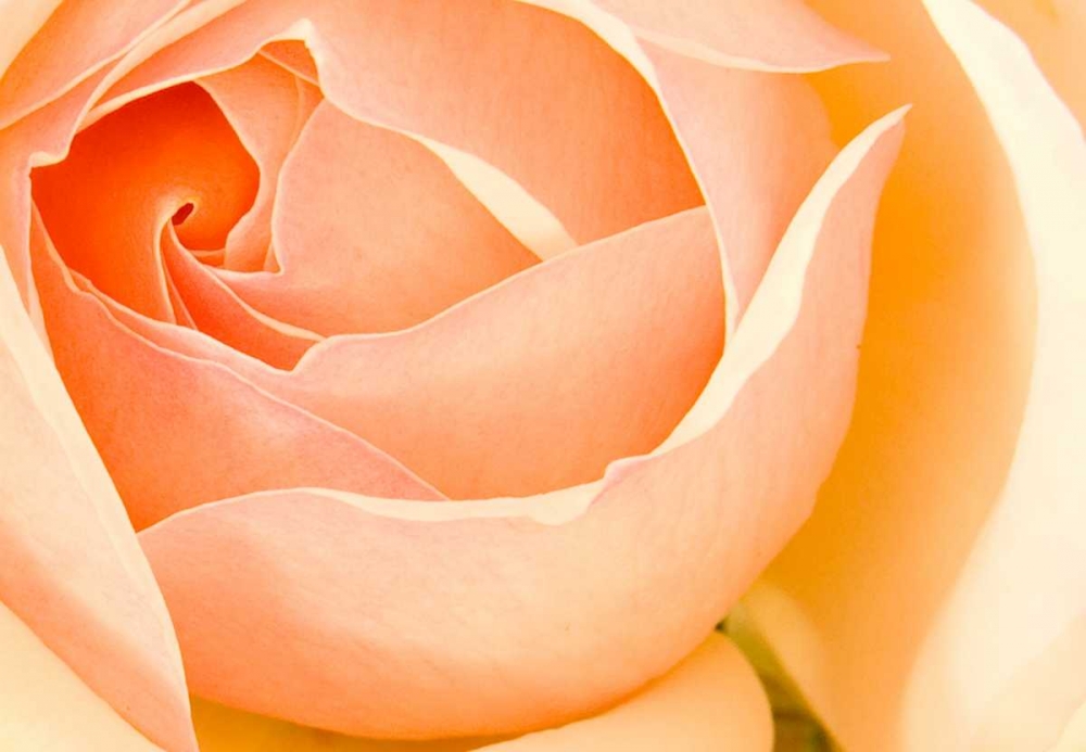 Similar wall art painting: 9729