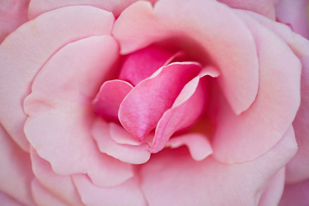 Similar wall art painting: 9730