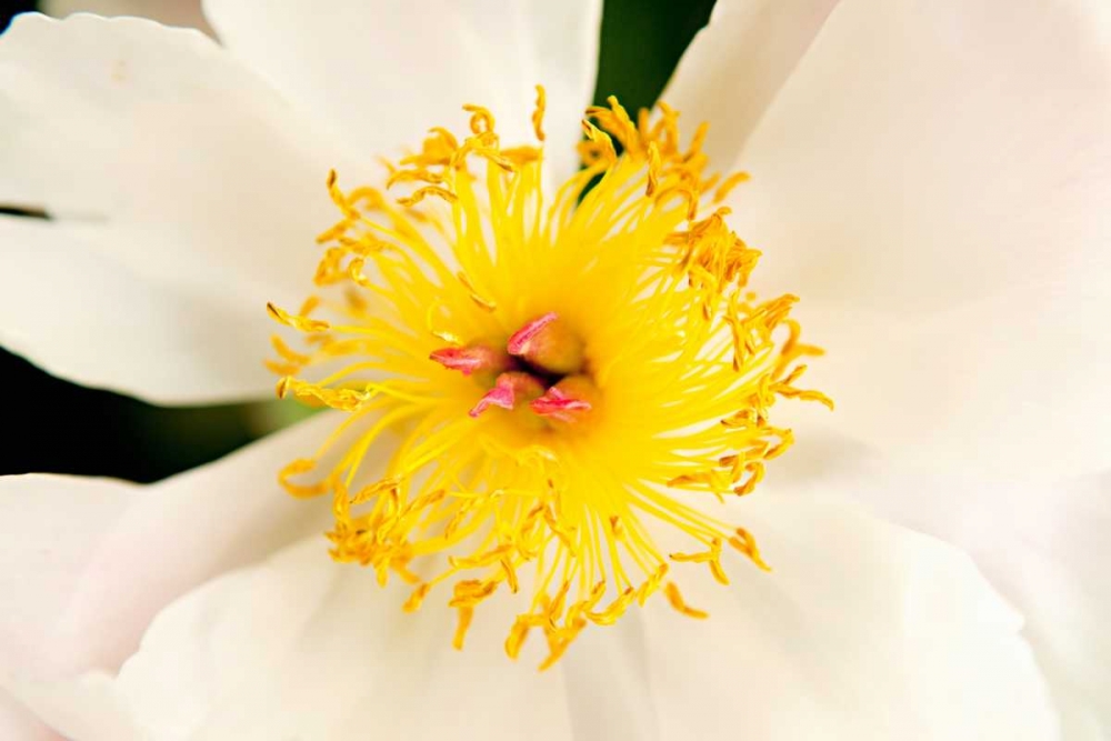 Similar wall art painting: 9732