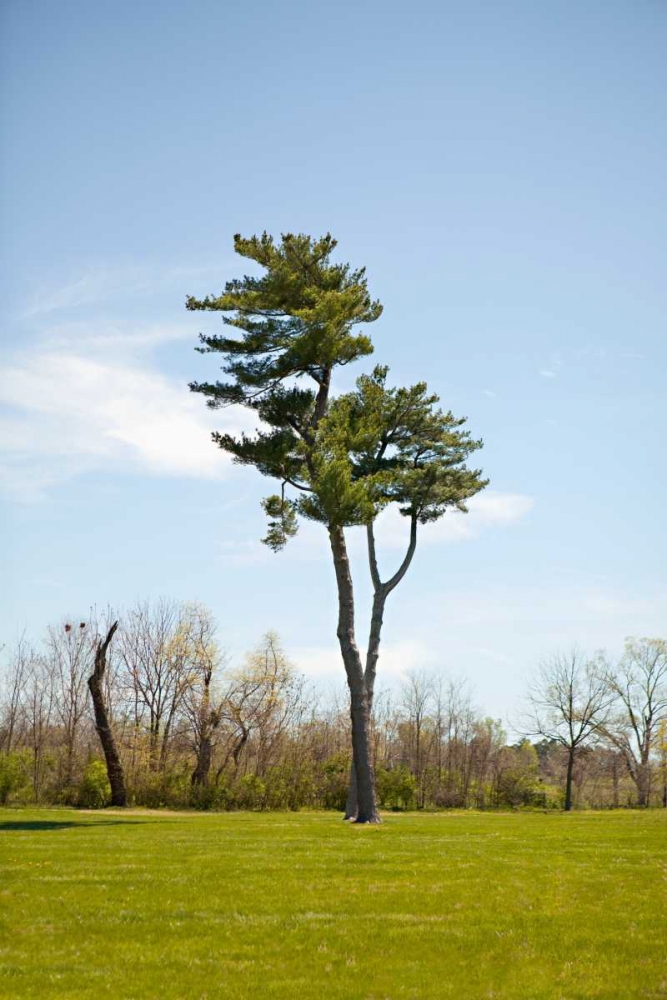 Similar wall art painting: 9770