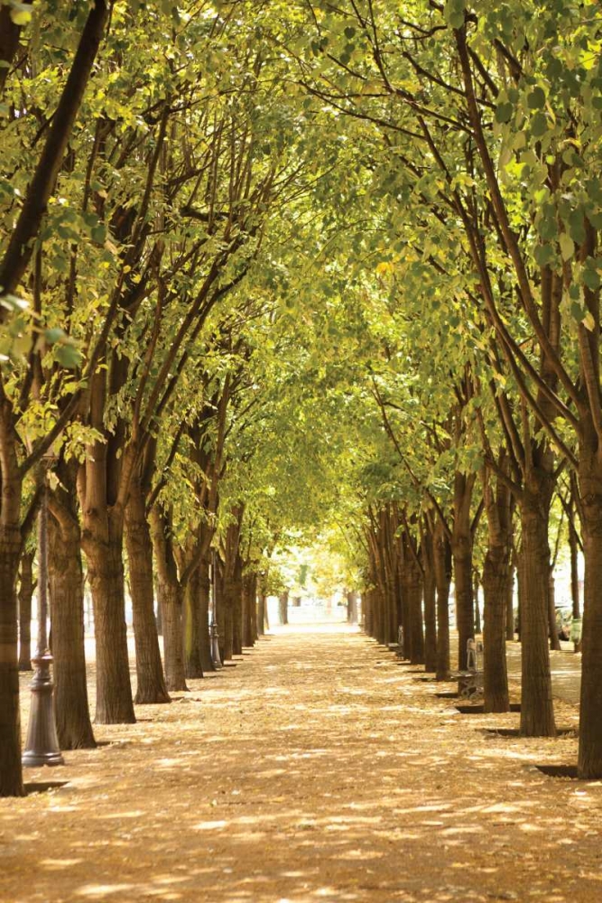 Similar wall art painting: 9771