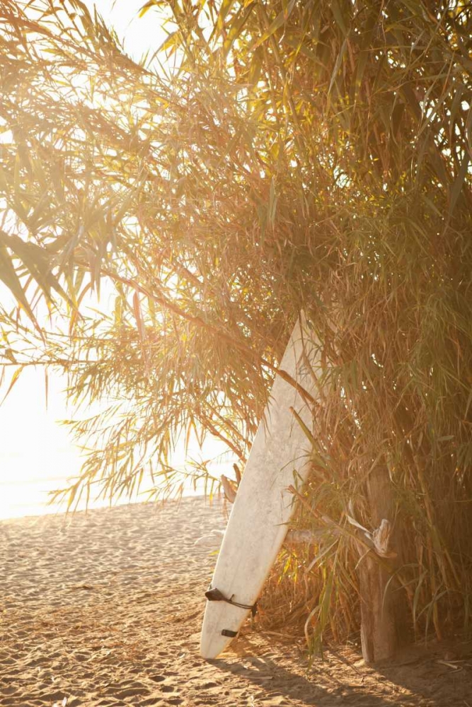 Similar wall art painting: 9792