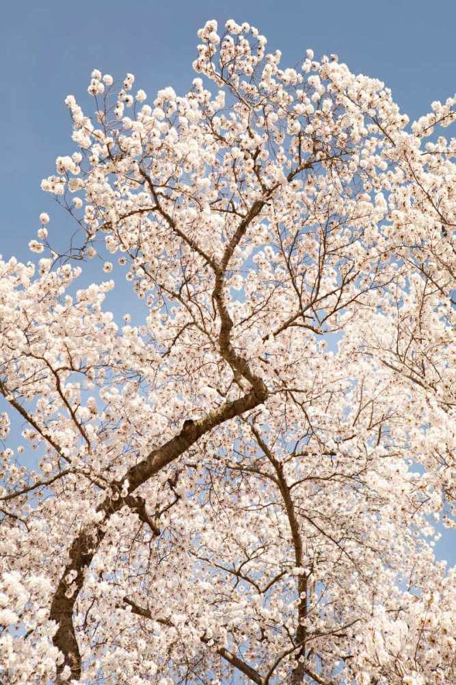 Similar wall art painting: 20199