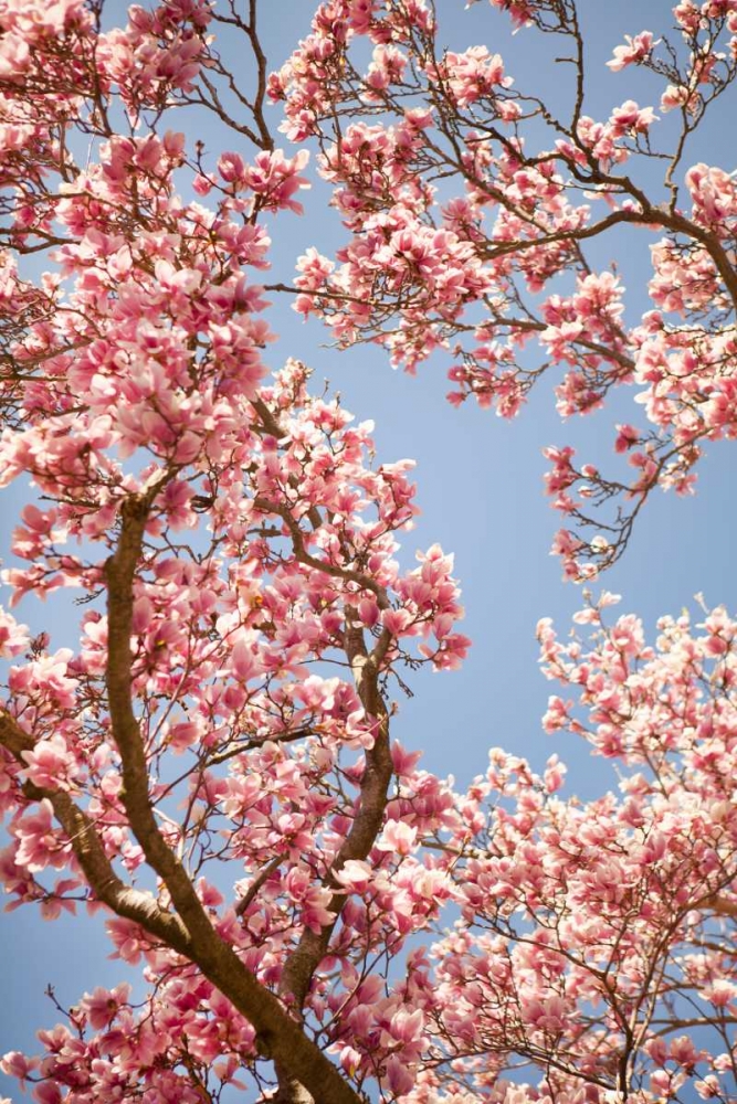 Similar wall art painting: 20202