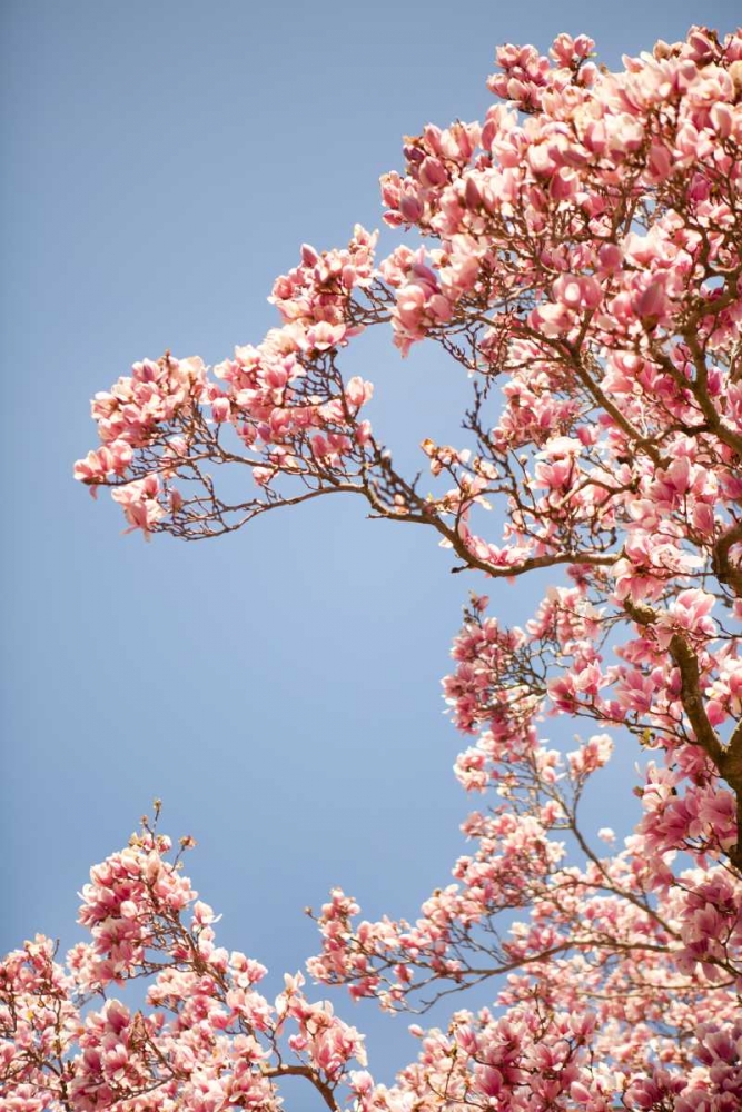 Similar wall art painting: 20203