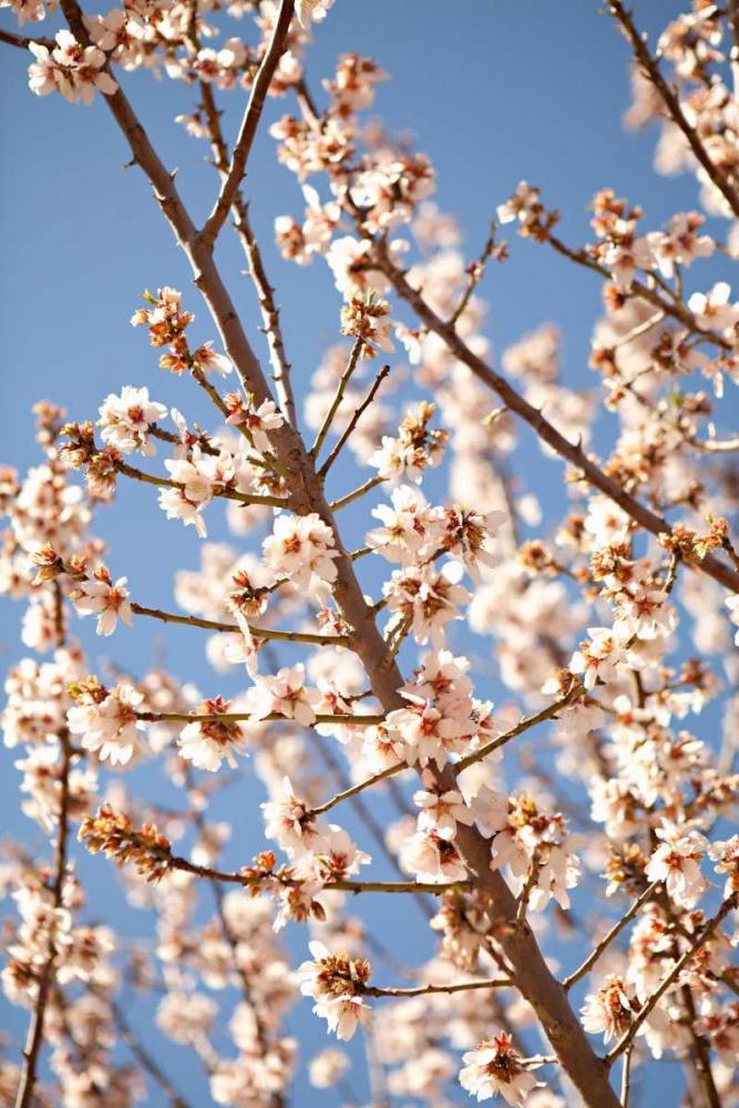 Similar wall art painting: 20204