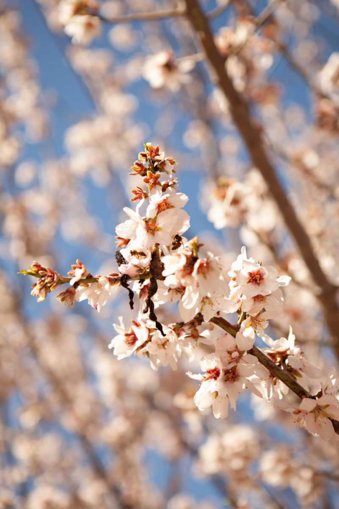 Similar wall art painting: 20205