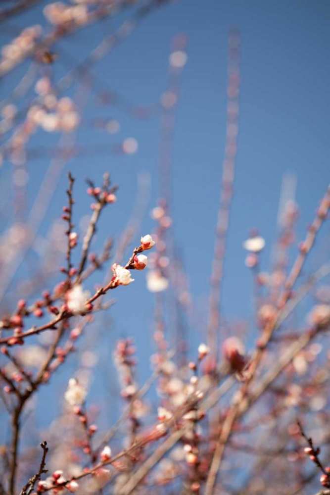 Similar wall art painting: 20206