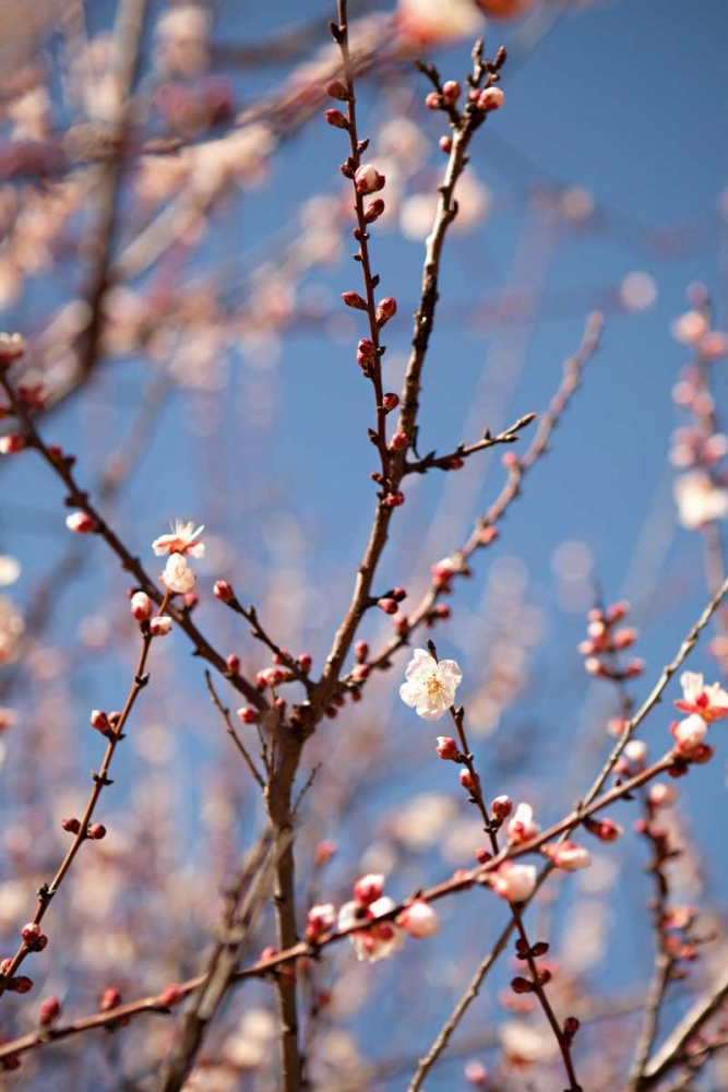 Similar wall art painting: 20207