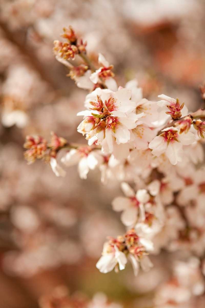 Similar wall art painting: 20209