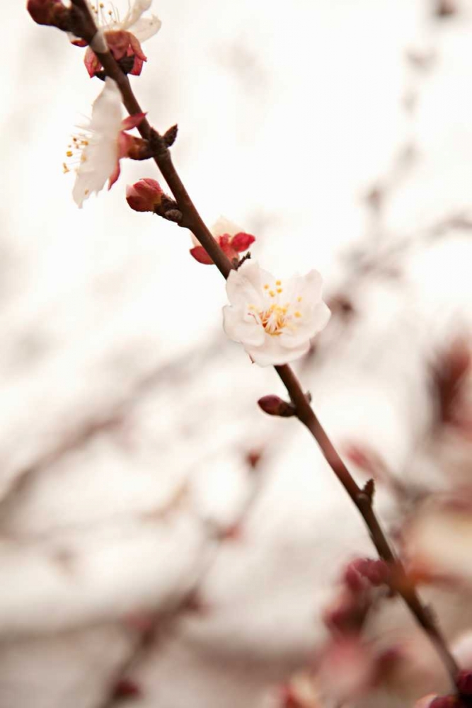 Similar wall art painting: 20210