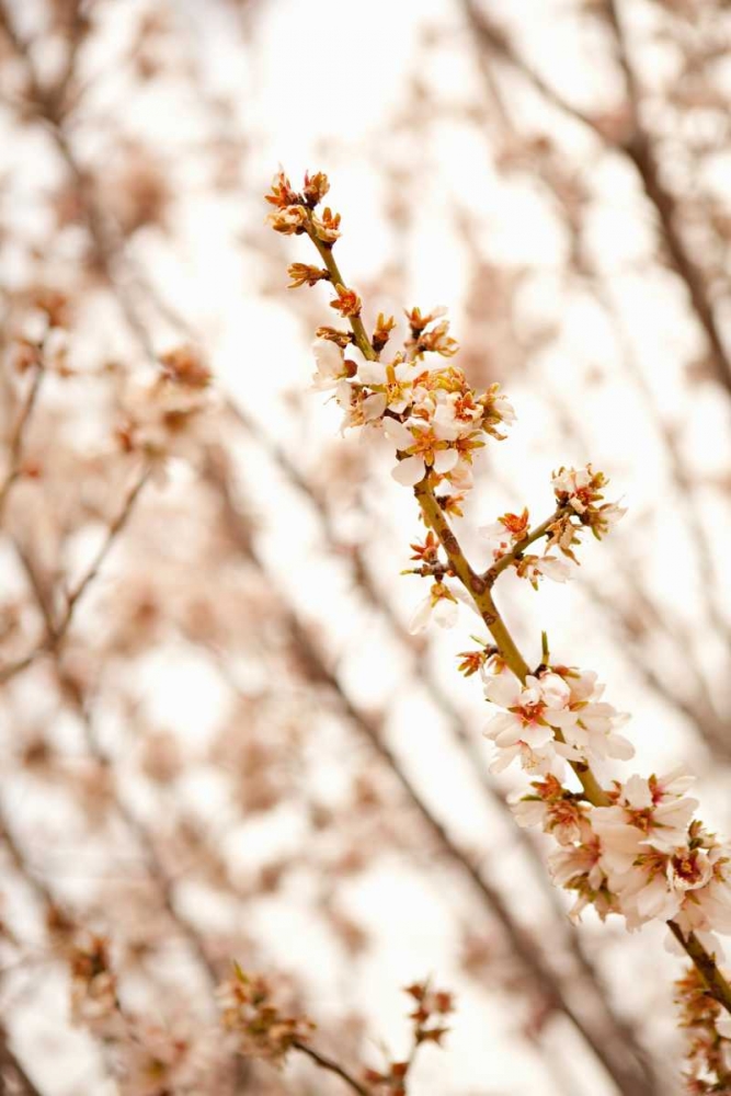 Similar wall art painting: 20211