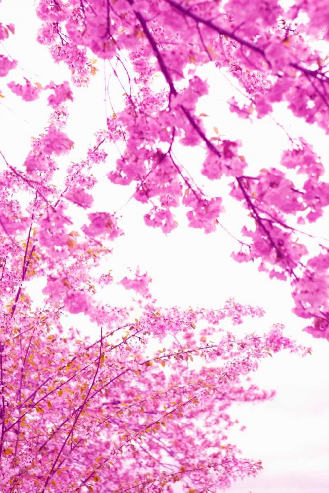 Similar wall art painting: 20220