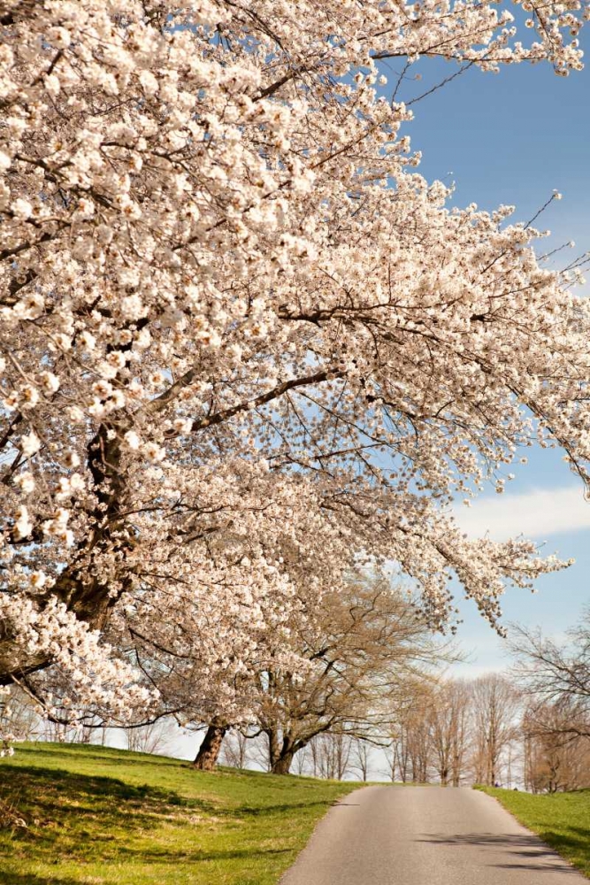 Similar wall art painting: 20231