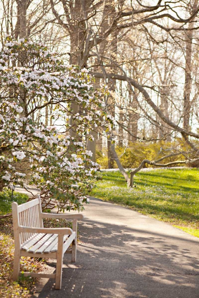 Wall Art Painting id:20232, Name: In the Park II, Artist: Millet, Karyn