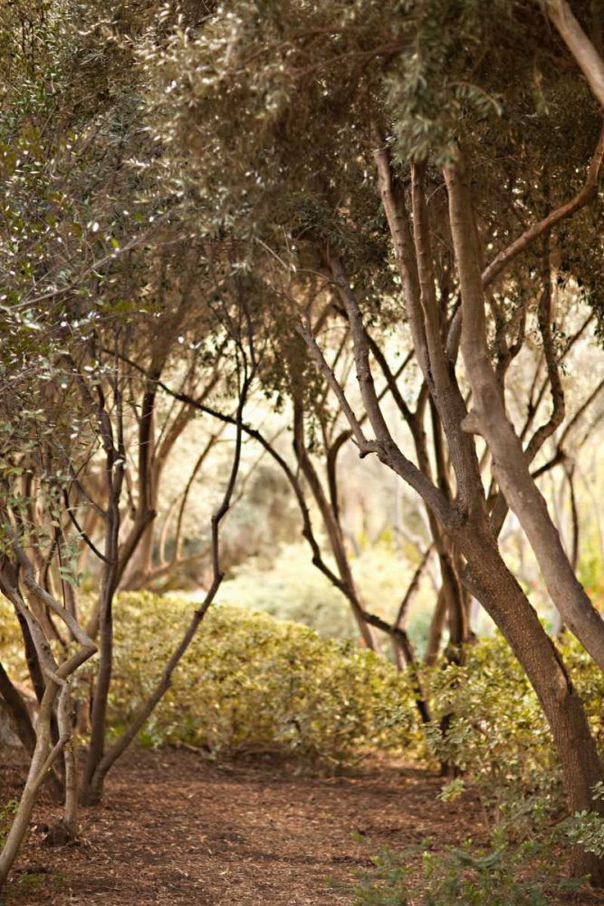 Similar wall art painting: 20233