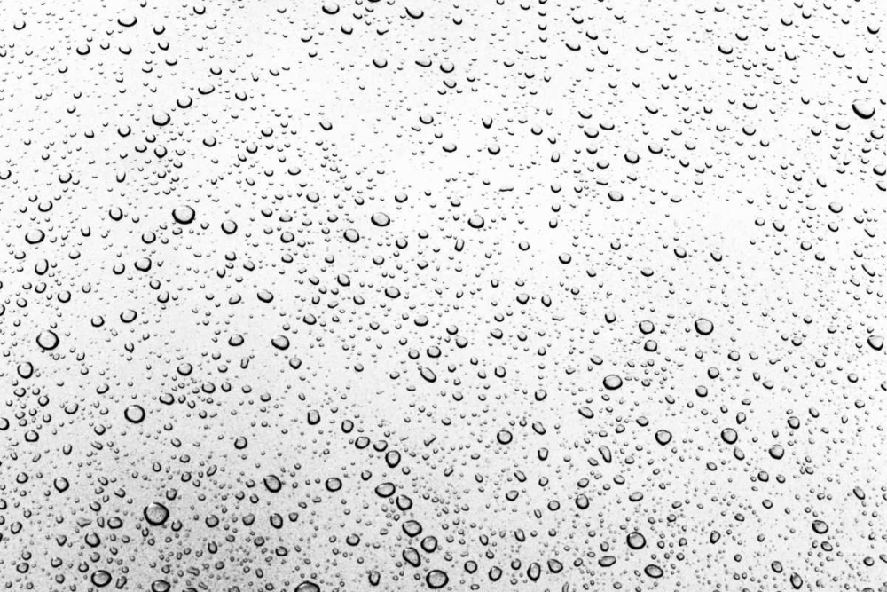 Similar wall art painting: 20303