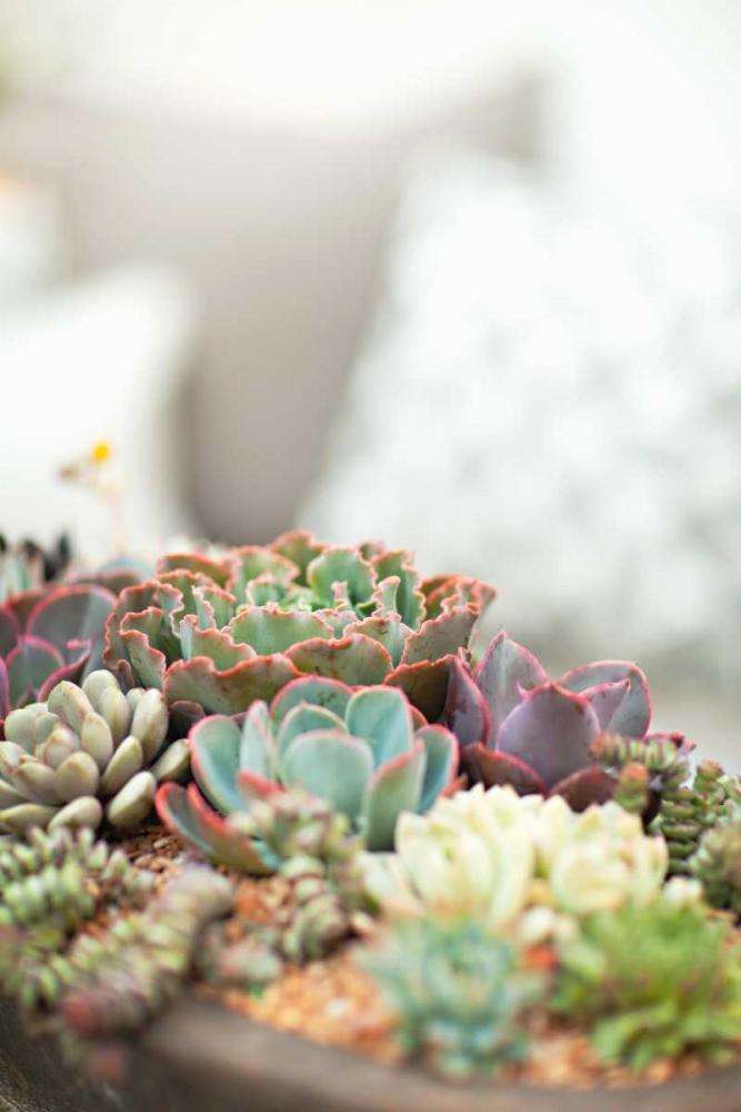 Similar wall art painting: 146232