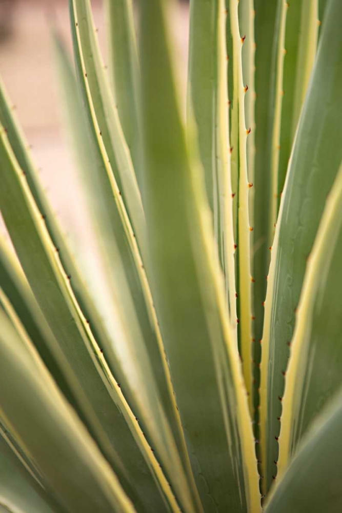 Similar wall art painting: 146421