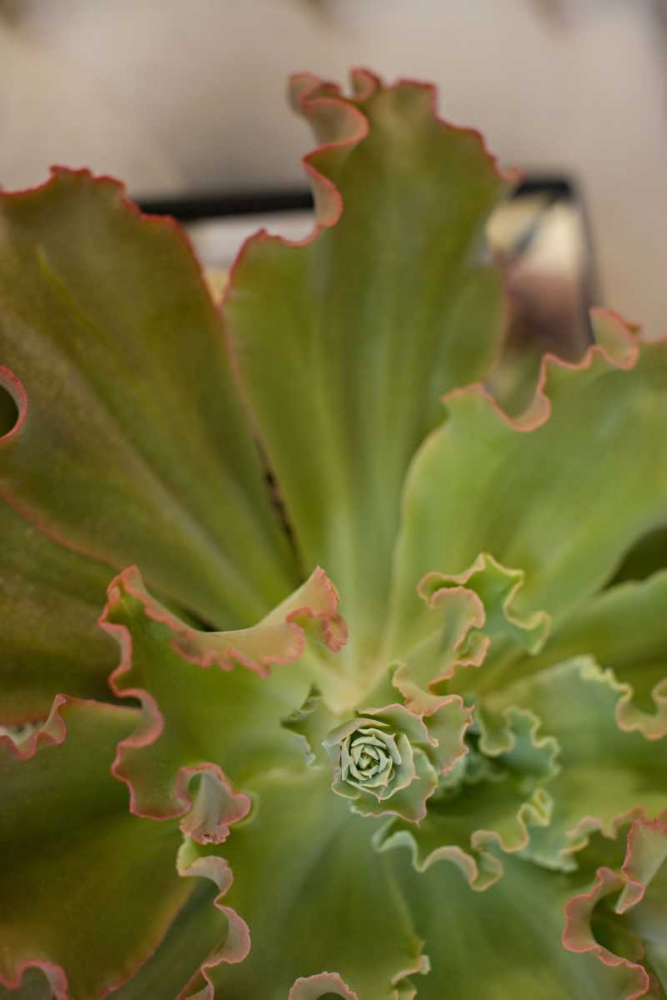 Similar wall art painting: 146422