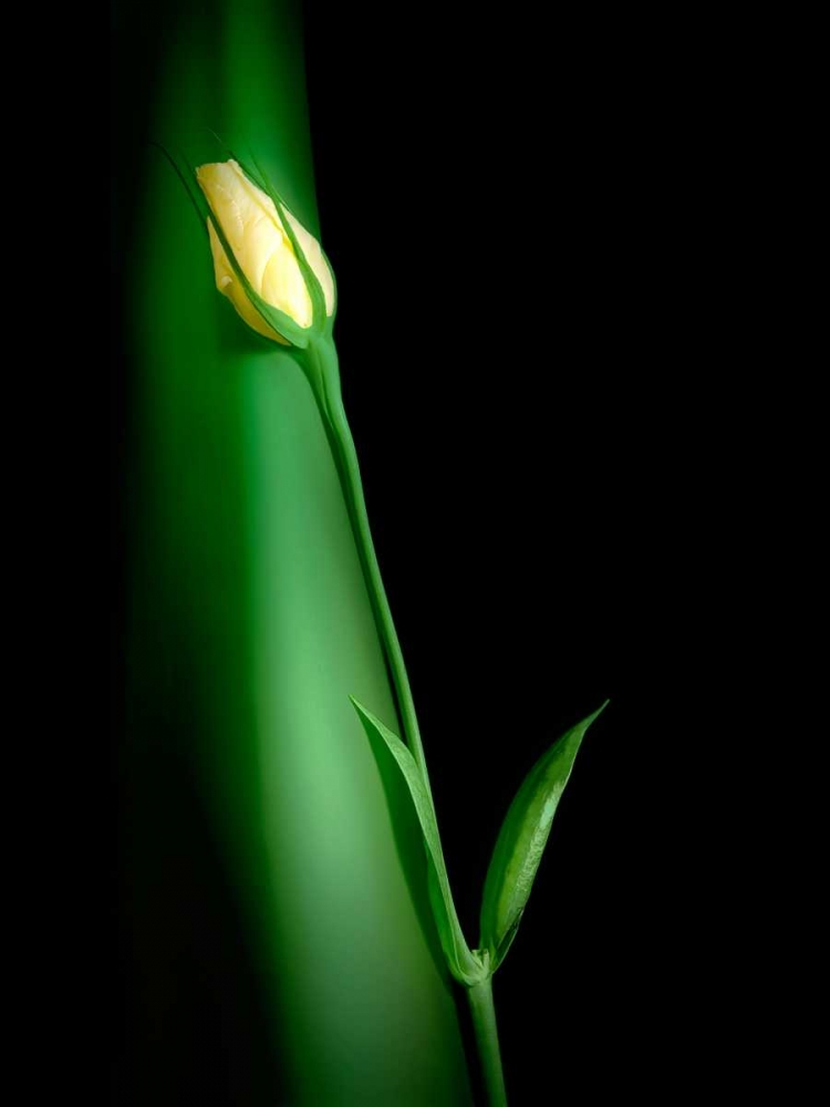 Similar wall art painting: 2487