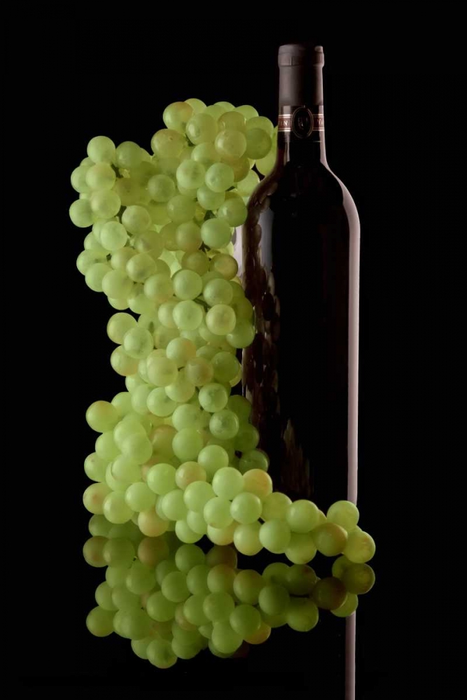 Similar wall art painting: 2494