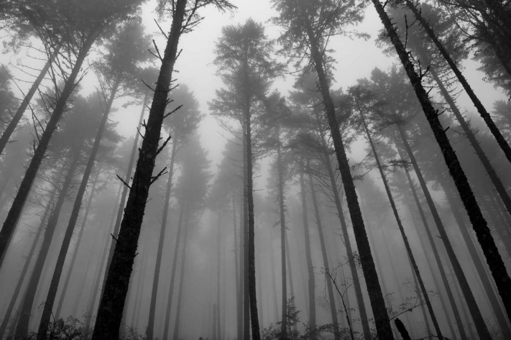 Similar wall art painting: 2698