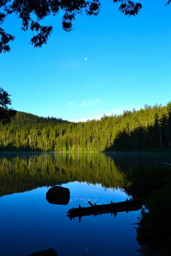 Wall Art Painting id:2711, Name: Morning at the Lake I, Artist: Moore, Brian