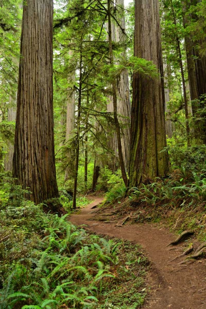 Similar wall art painting: 2717