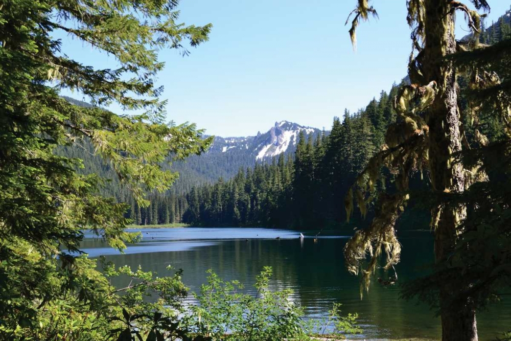 Similar wall art painting: 2719