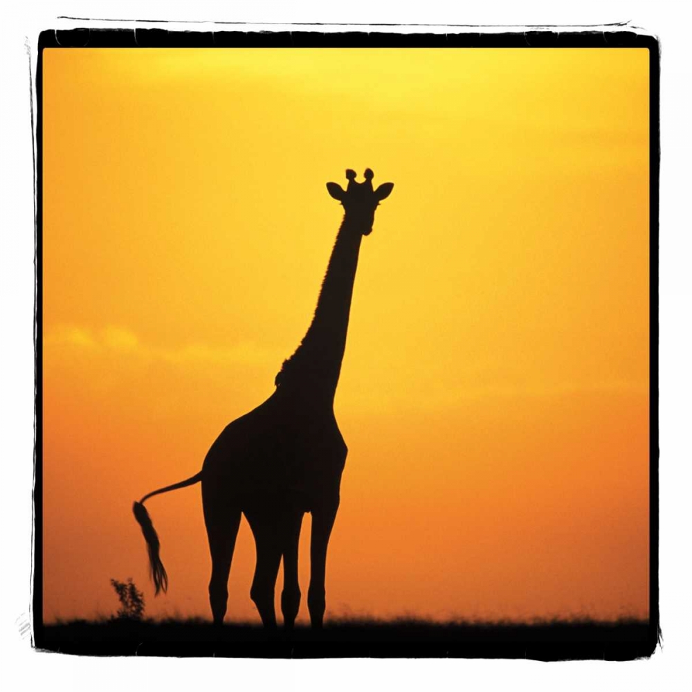 Similar wall art painting: 2734