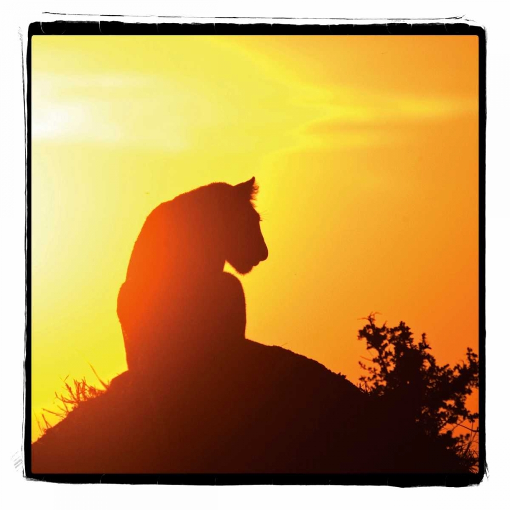 Similar wall art painting: 2737