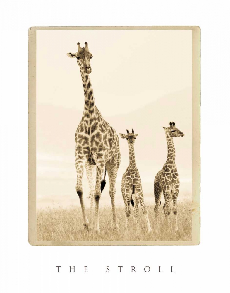 Similar wall art painting: 2746