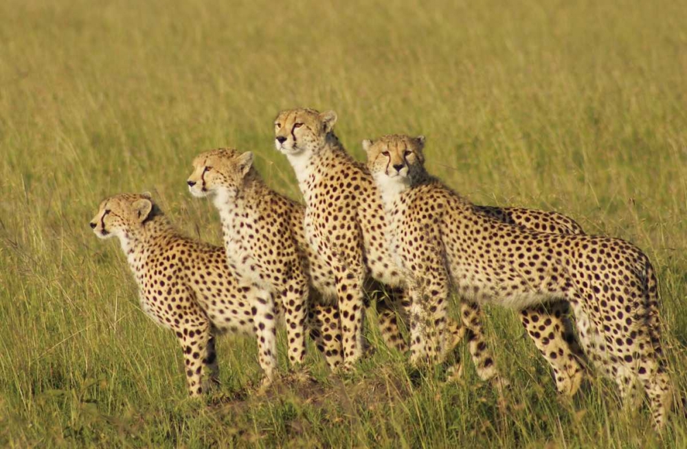 Similar wall art painting: 2747