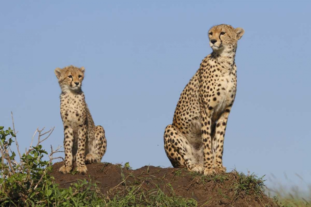 Similar wall art painting: 2749