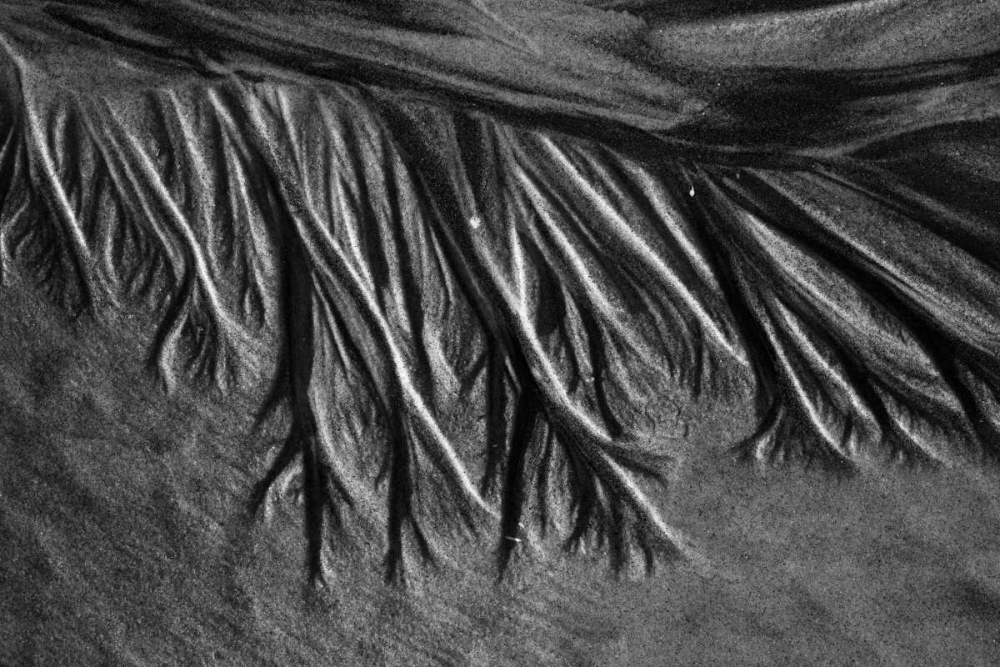 Similar wall art painting: 2807